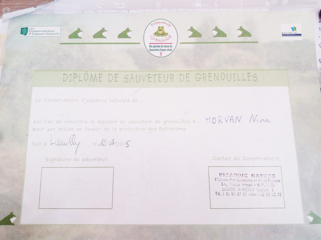 diplome grenouille