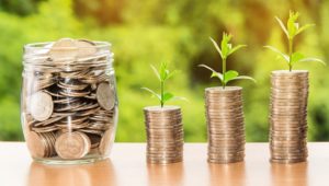 argent en pot plantes
